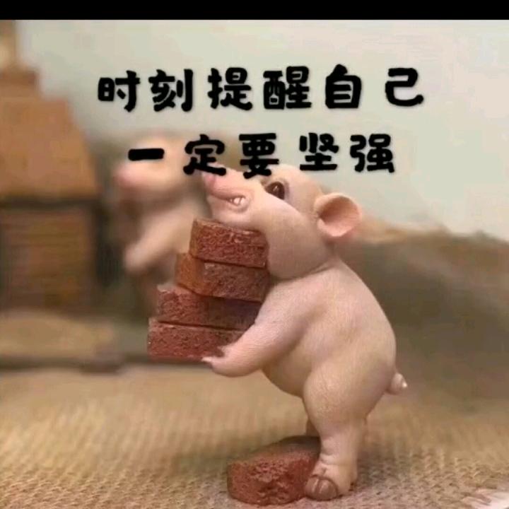 心灵闪亮星