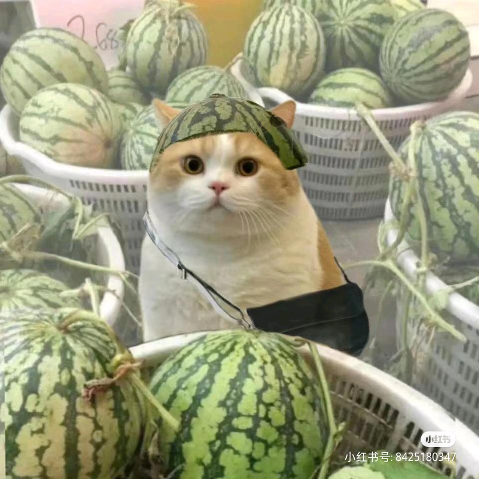 西瓜八块一斤🍉