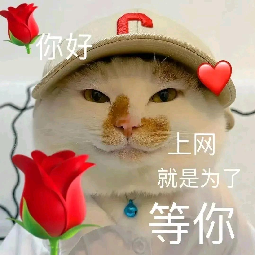 ：）