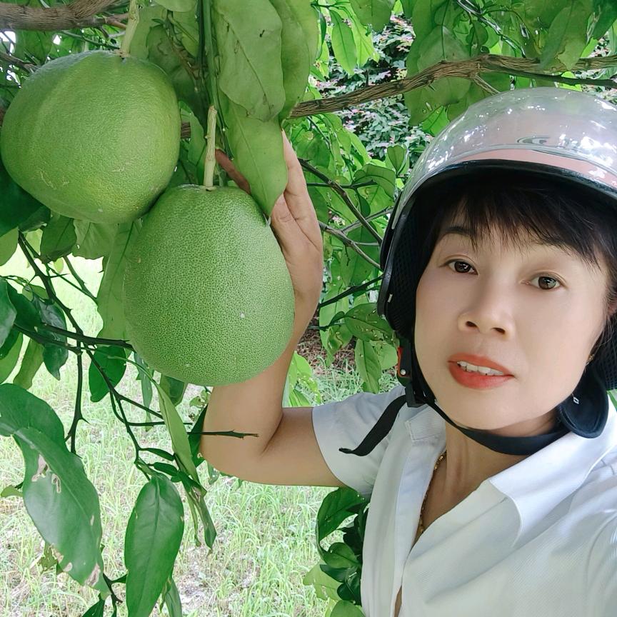 万事如意