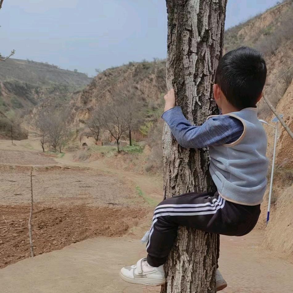 回想事事皆如梦