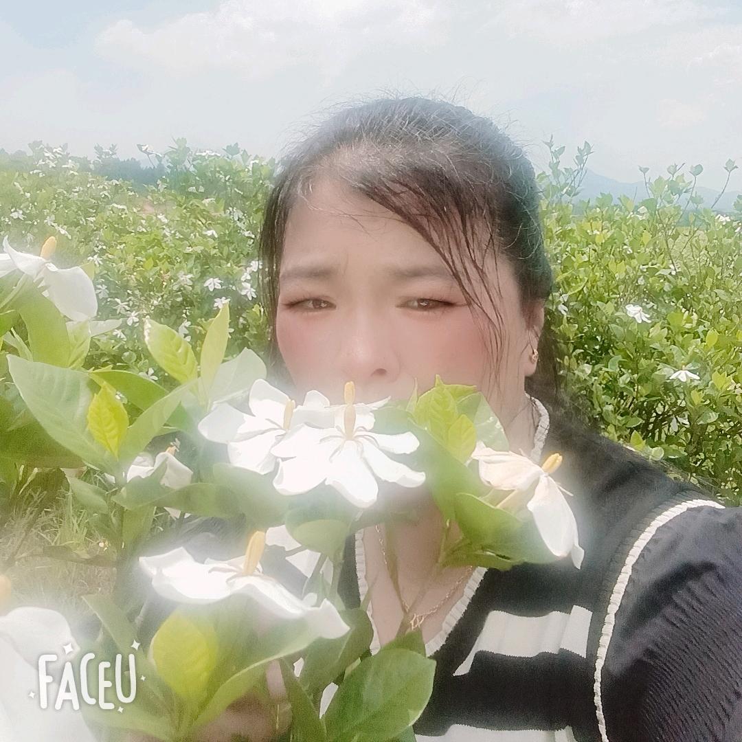 胡家二丫头