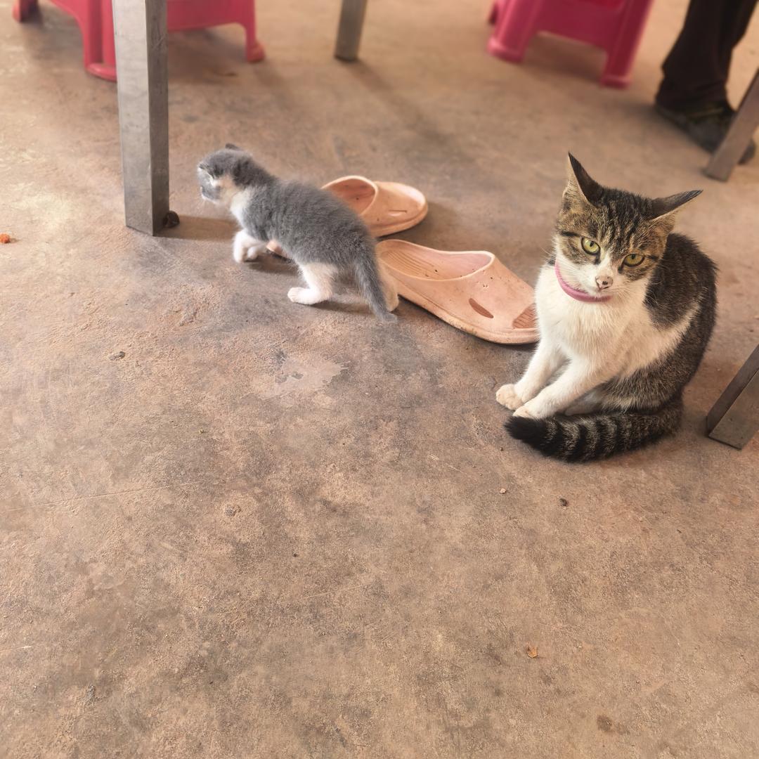 自由自在。