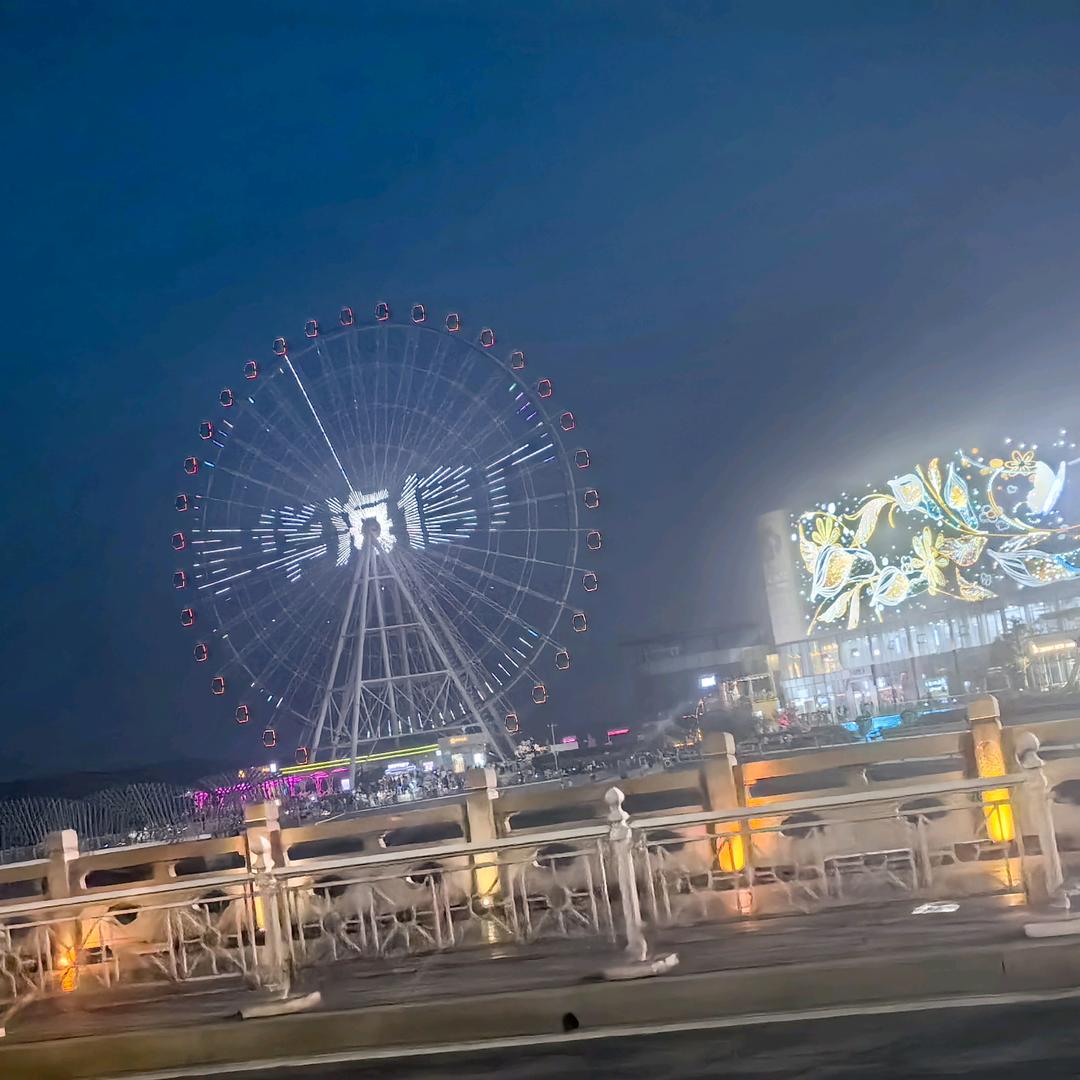 铿锵玫瑰