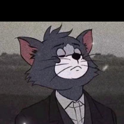 爱打瓦的小菜鸡