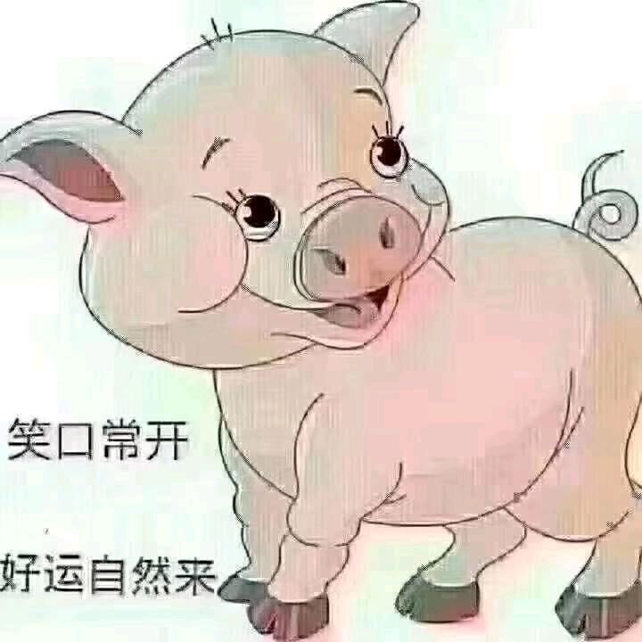 钱来也