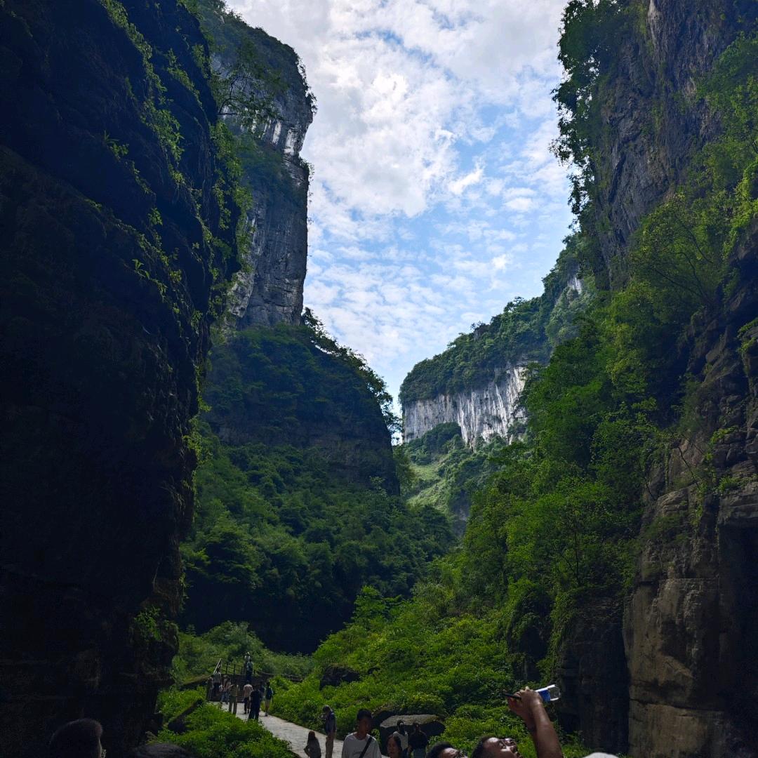 小康康
