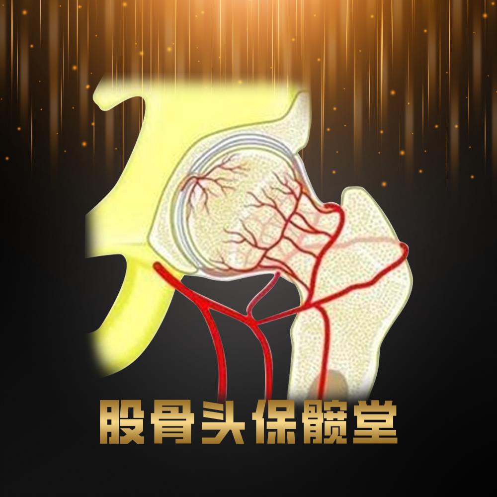 股骨头保髋堂