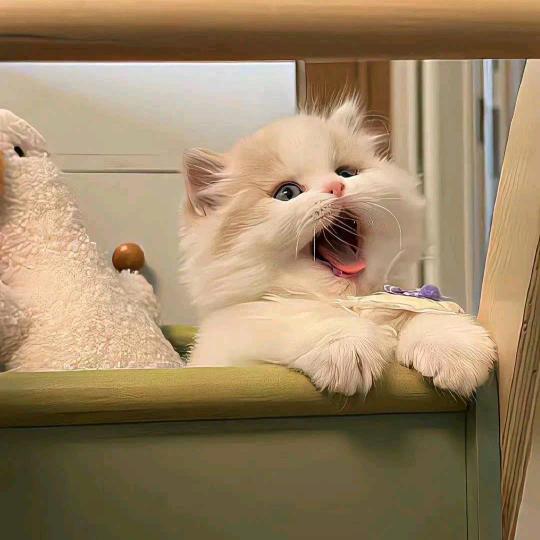 160斤大基数减肥中