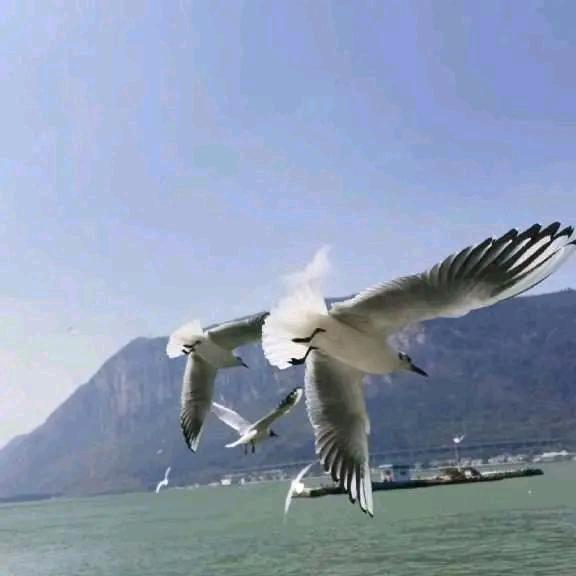 湖南的