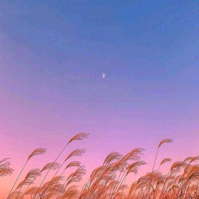 忘羡