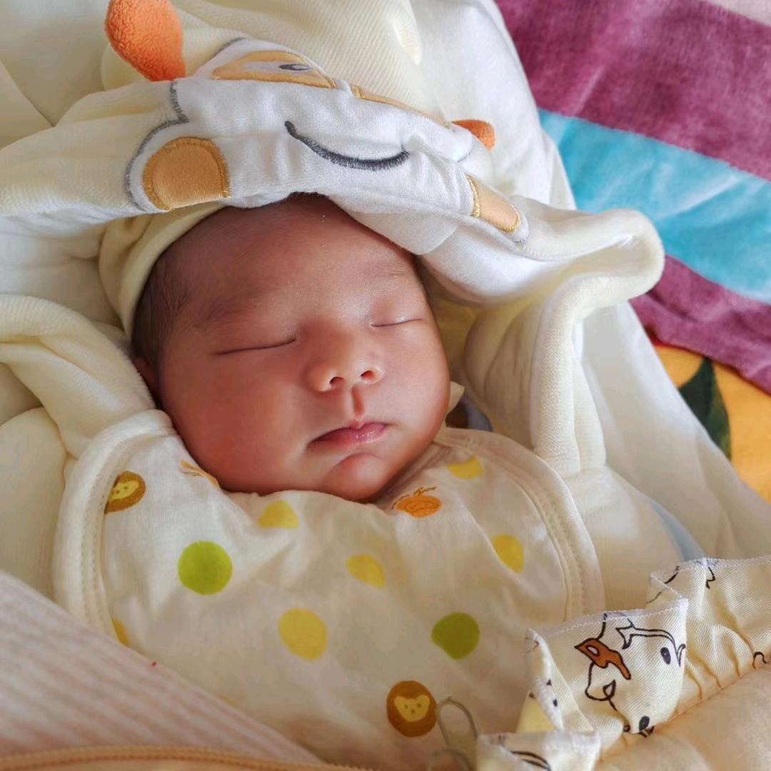 一尾懒鱼