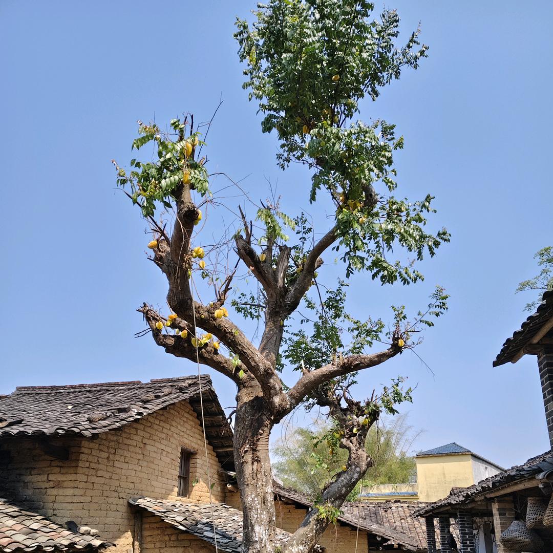 ᭄尼ঞৣঁ尐᭄ℯ⃝马ღ᭄