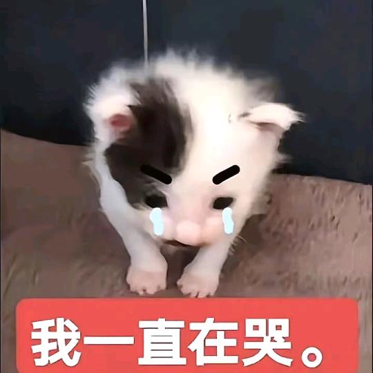 ygvbh