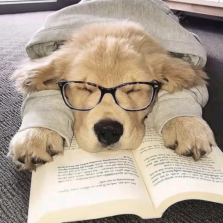 我真不是一米六