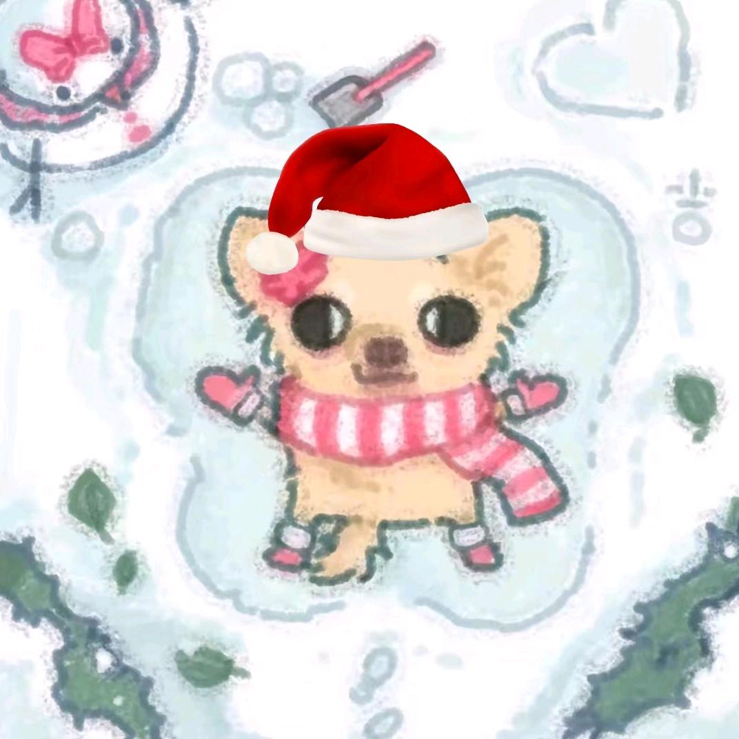 触爪章鱼n🍋🍀