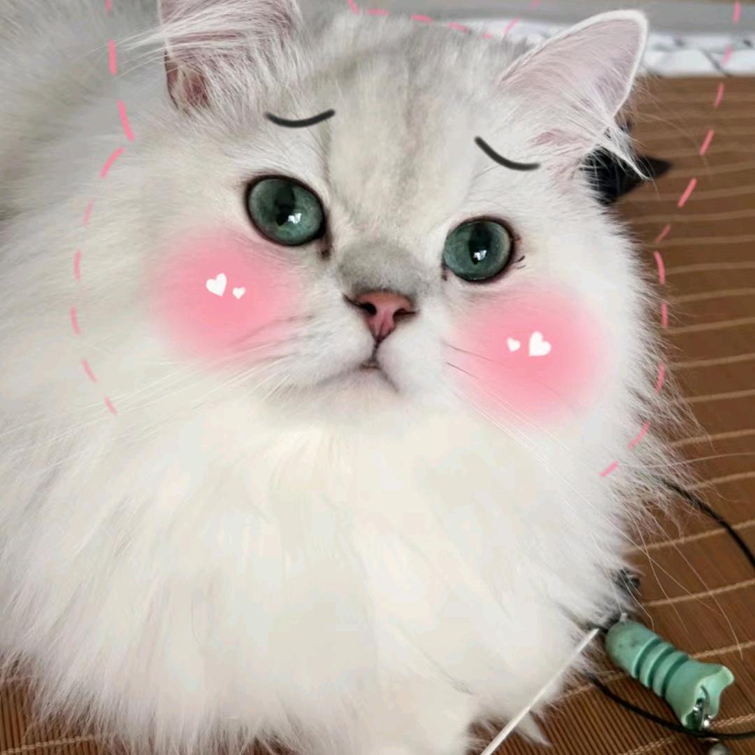 红叶﹉