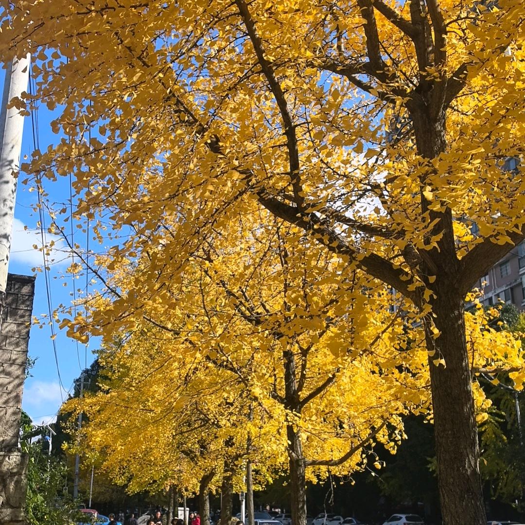 田间地里土特产生活坊