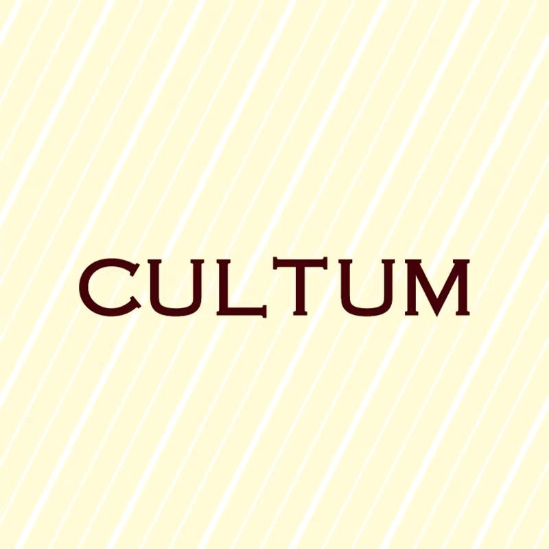 CULTUM绅士男装