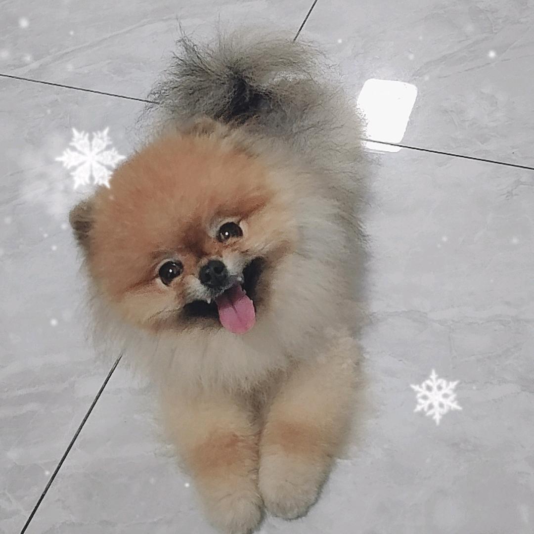 小豆芽