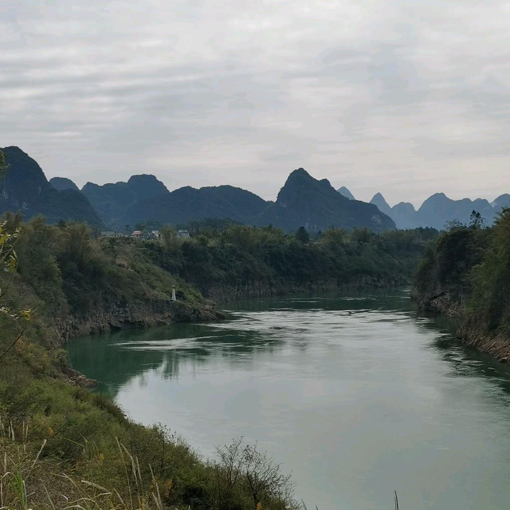 玖湾情