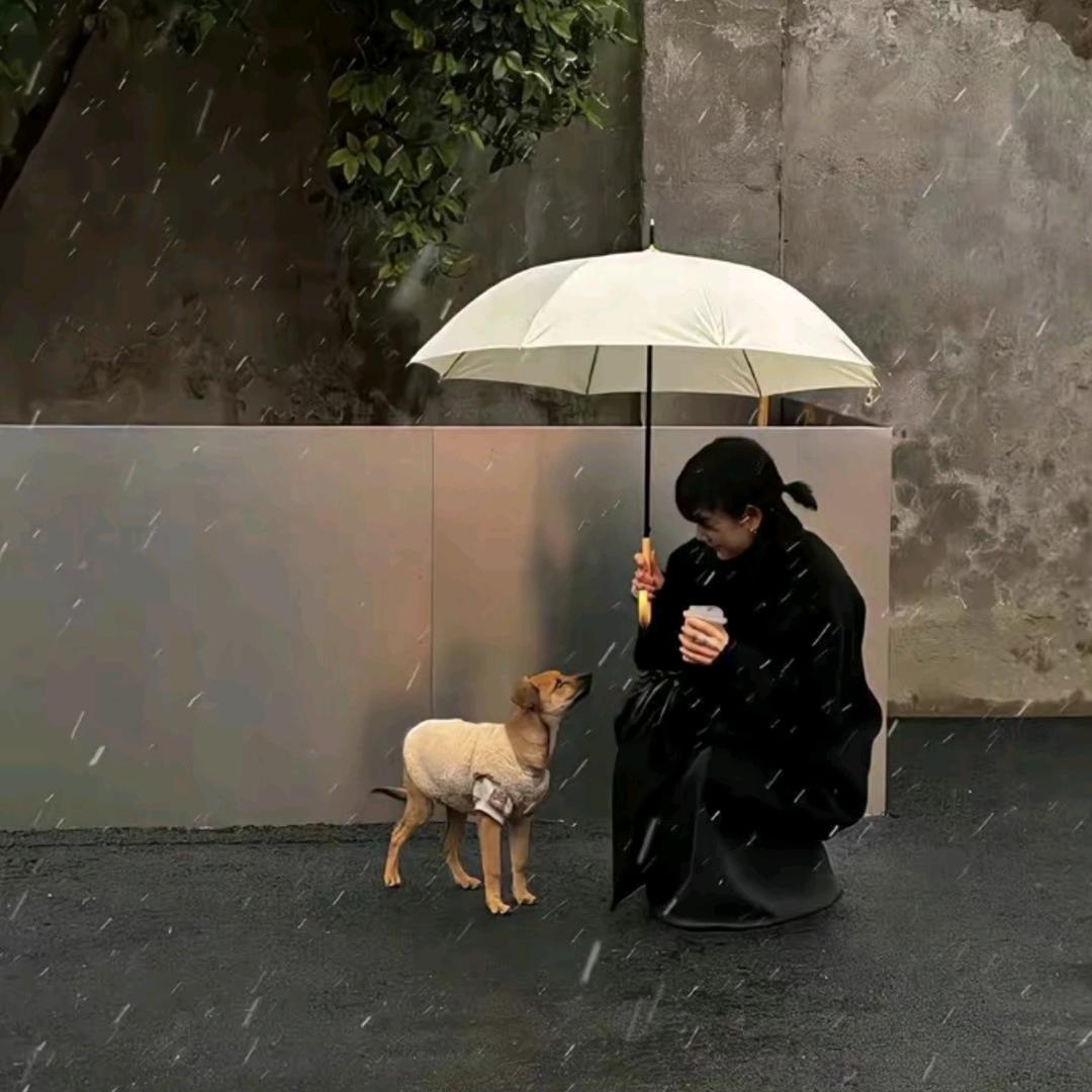温柔可耐欣
