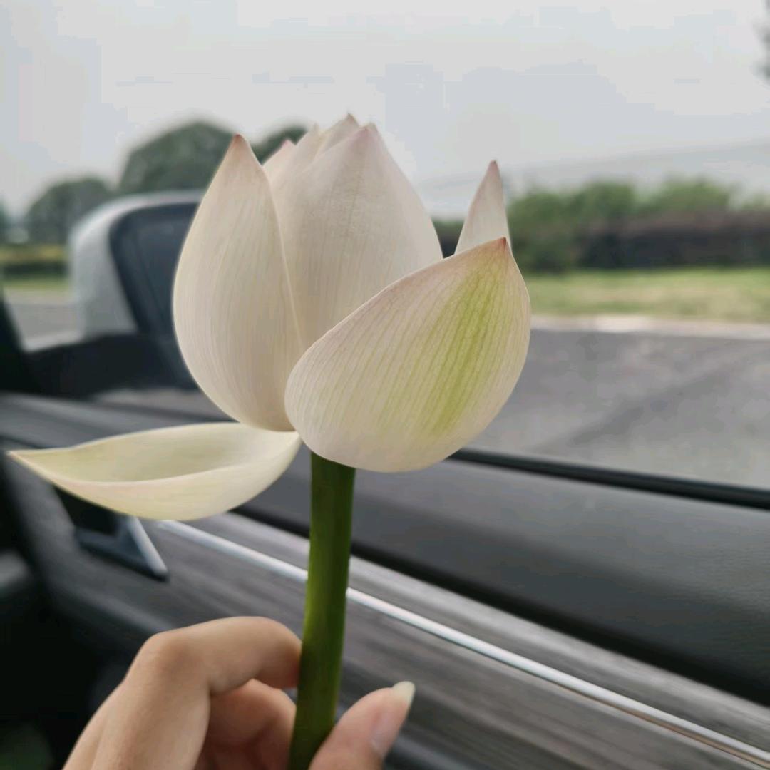 顺其自然