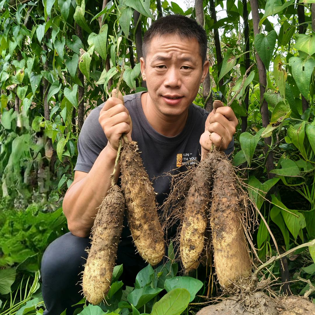 小熊养家