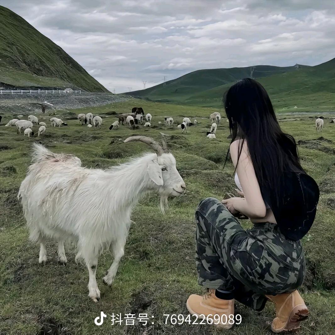 牧羊女🧝‍♀️