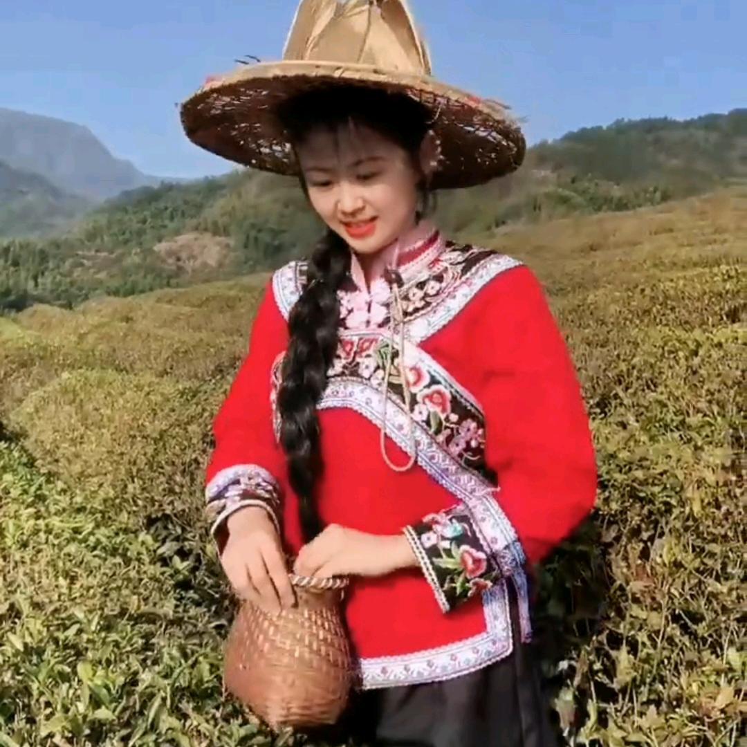 峪满春茶行