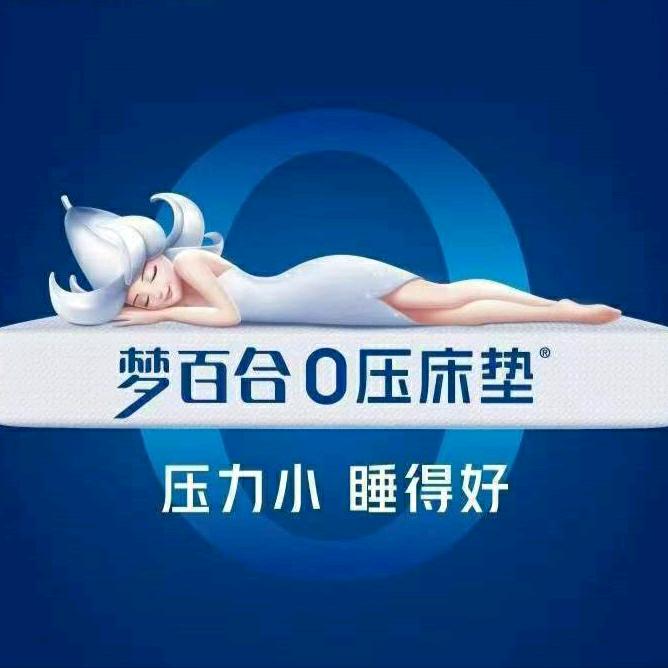 保定梦百合-小张