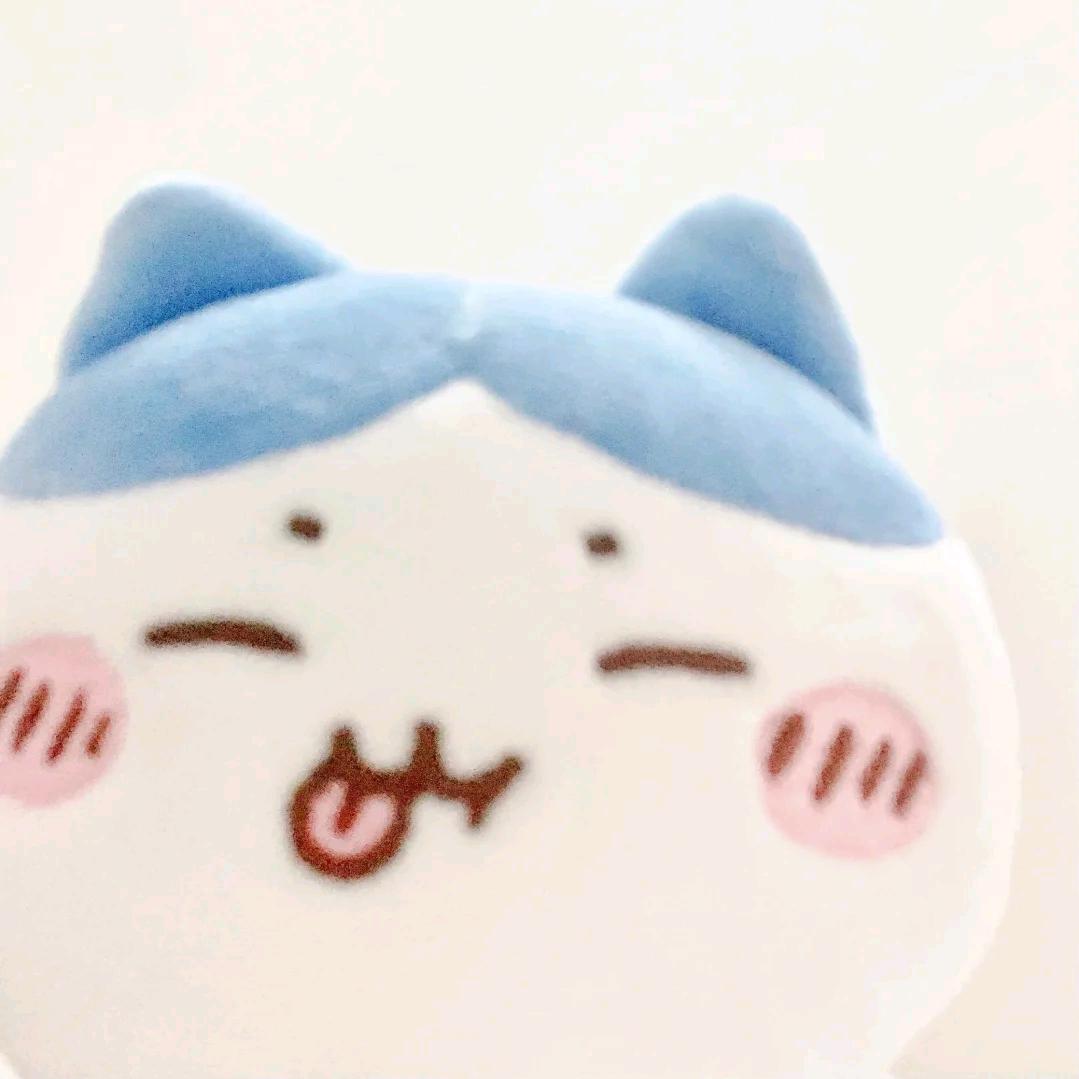 犯困年糕