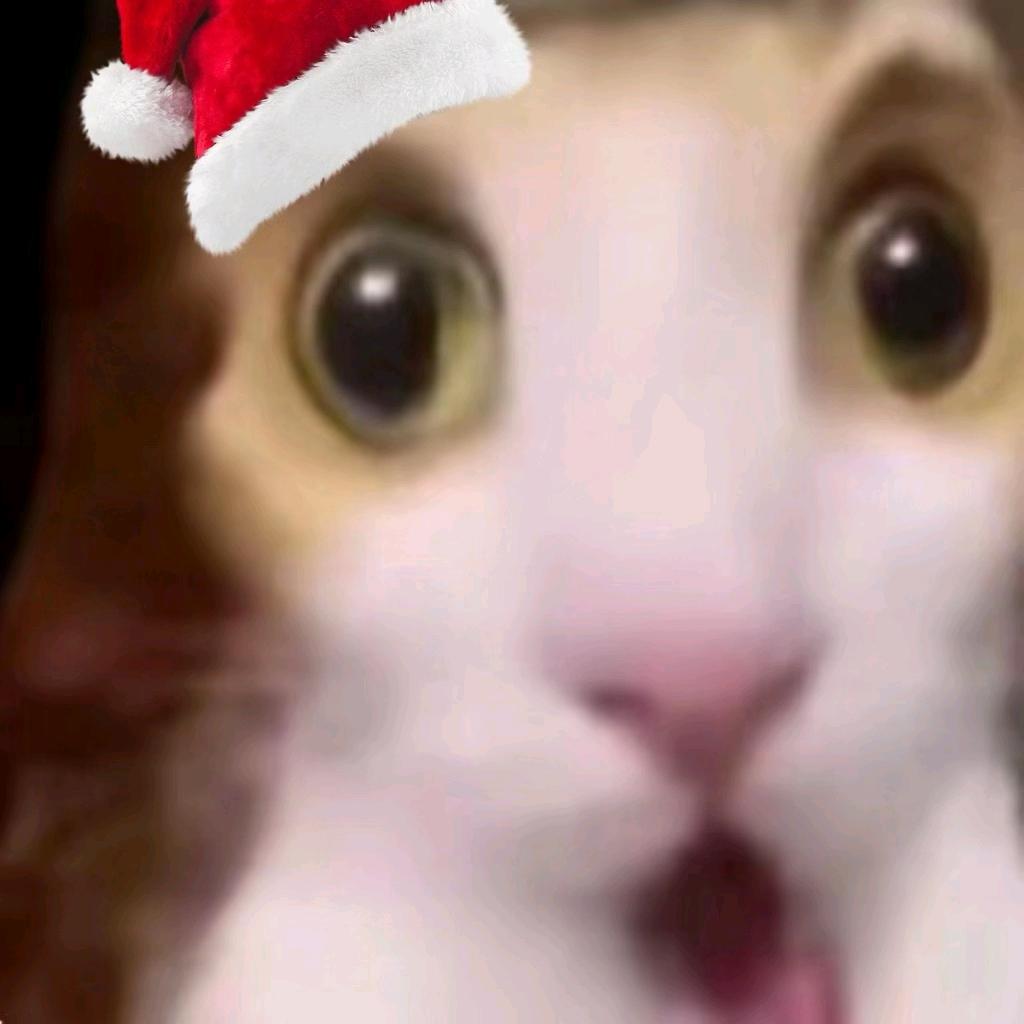 画画只为自个爽