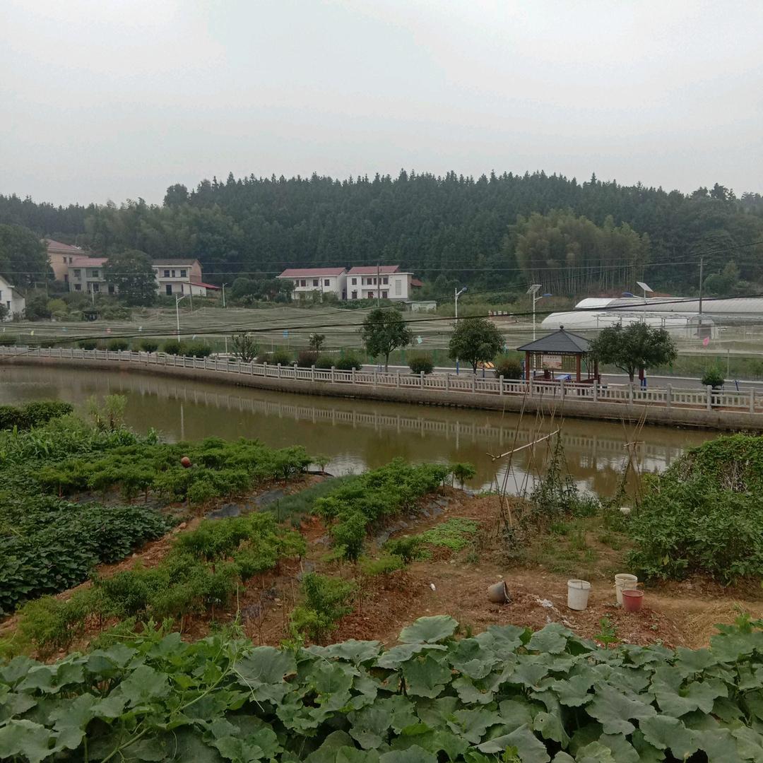 擦肩而过
