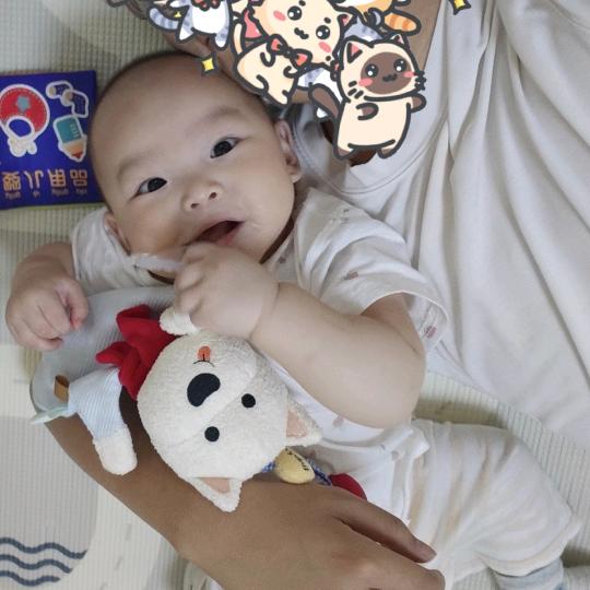 小钢弹成长日记