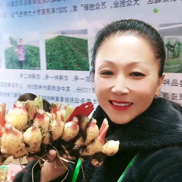 刘燕走姜地
