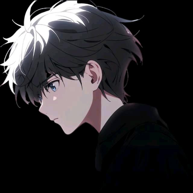 𝑳