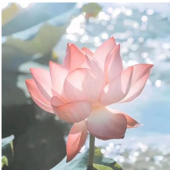 💞肖💖潇💕好🎄物💝分💜享💗