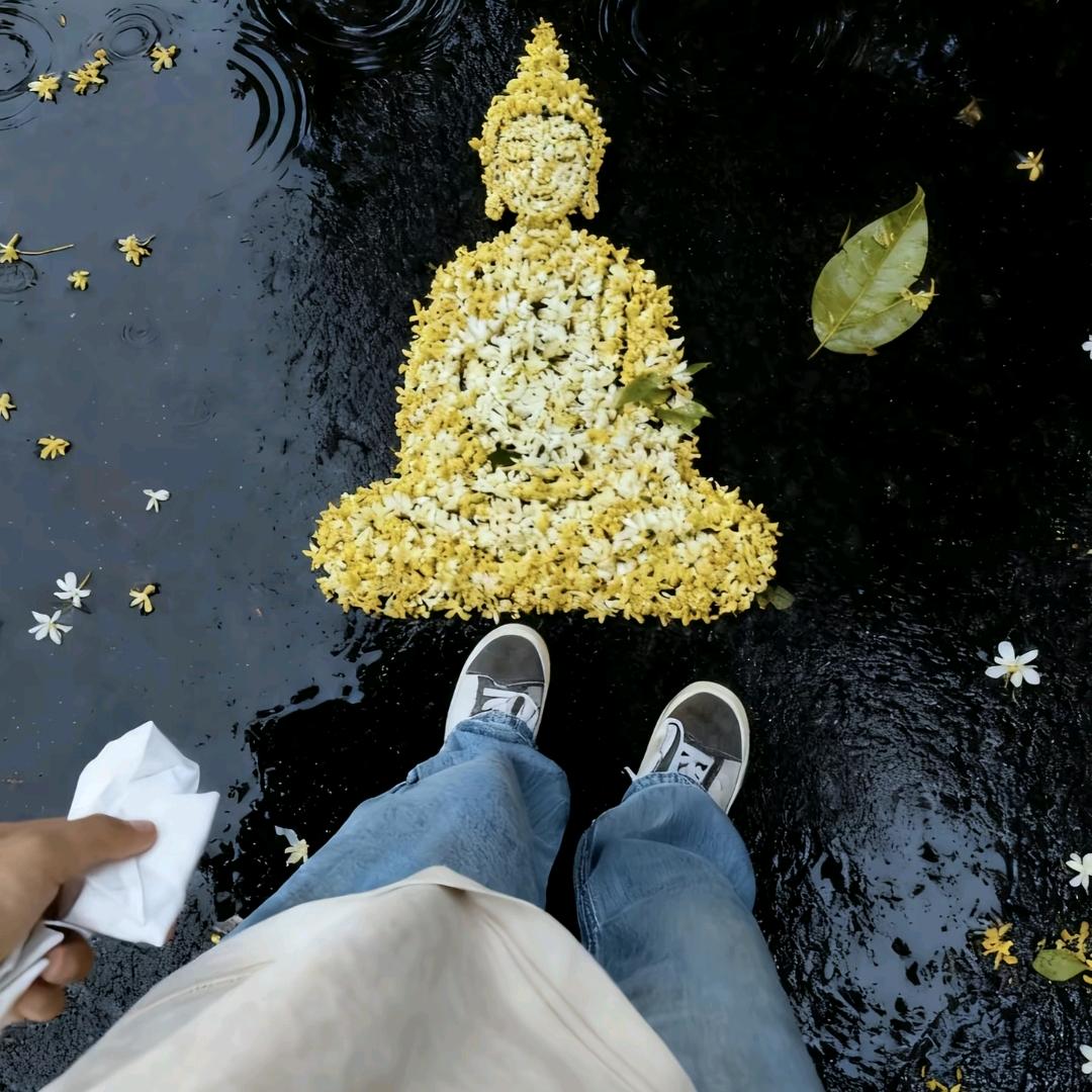 ࿐ 仁🦋