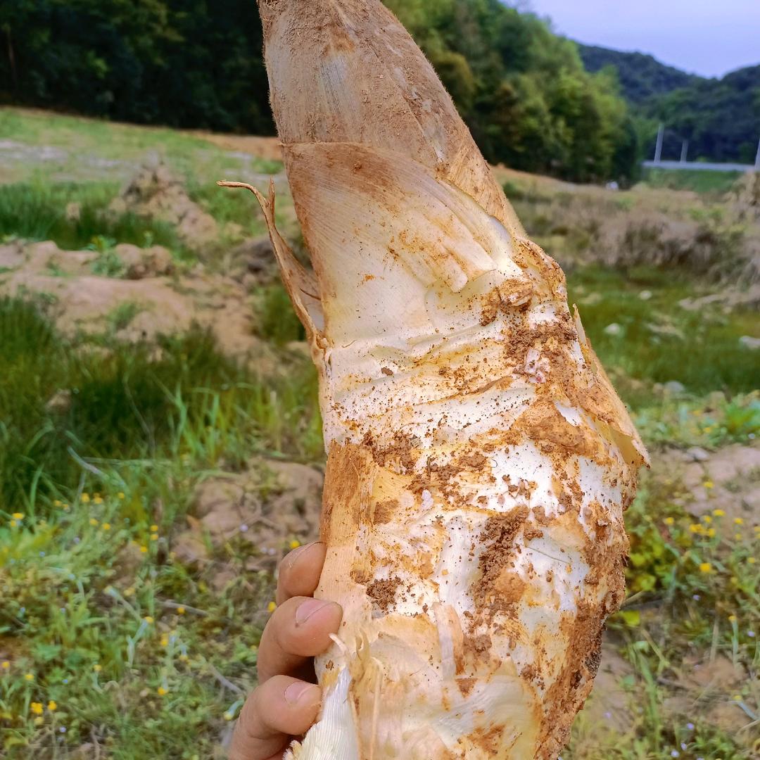 一笑红尘