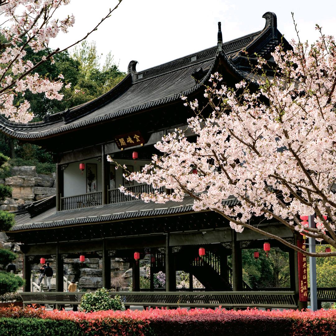 五彩金峨