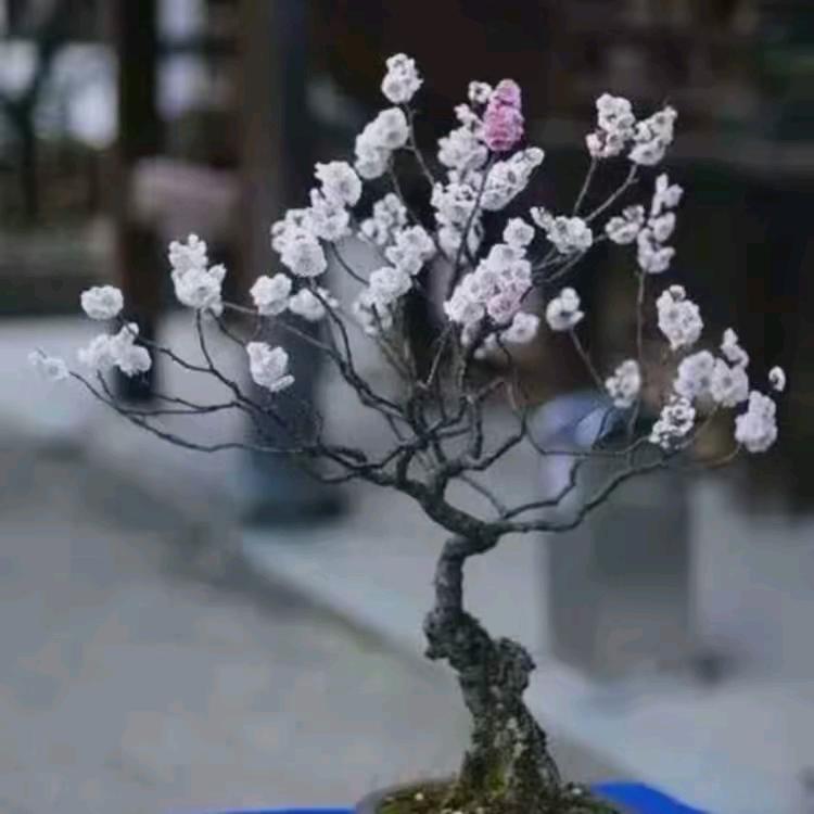 你是我唯一