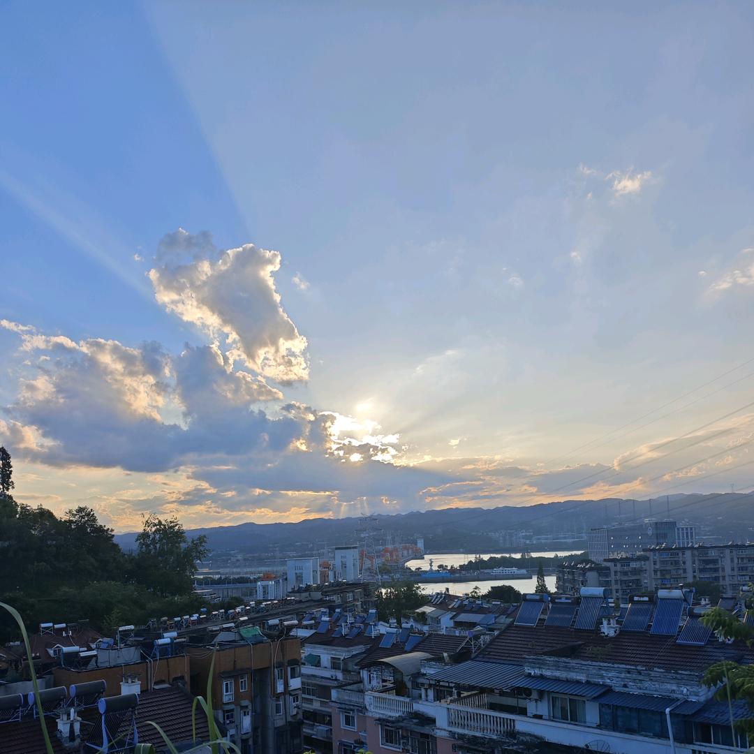 三片绿叶
