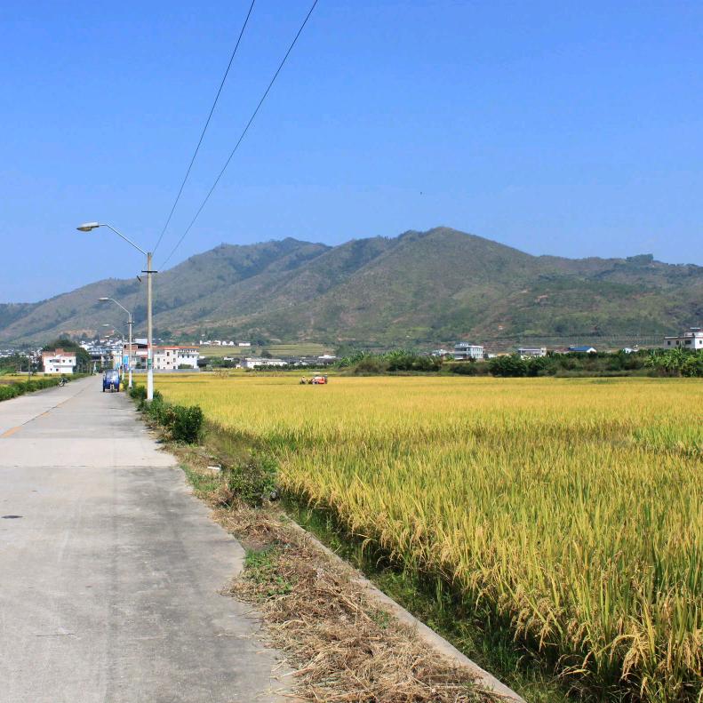 乡村