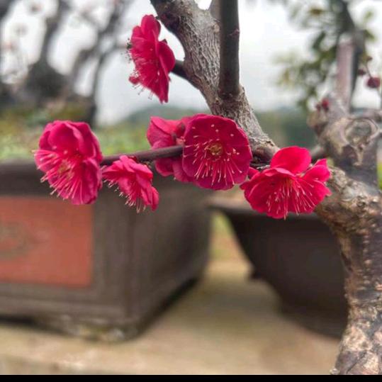 河东区宏盛汽车配件经营部(个体工商户)