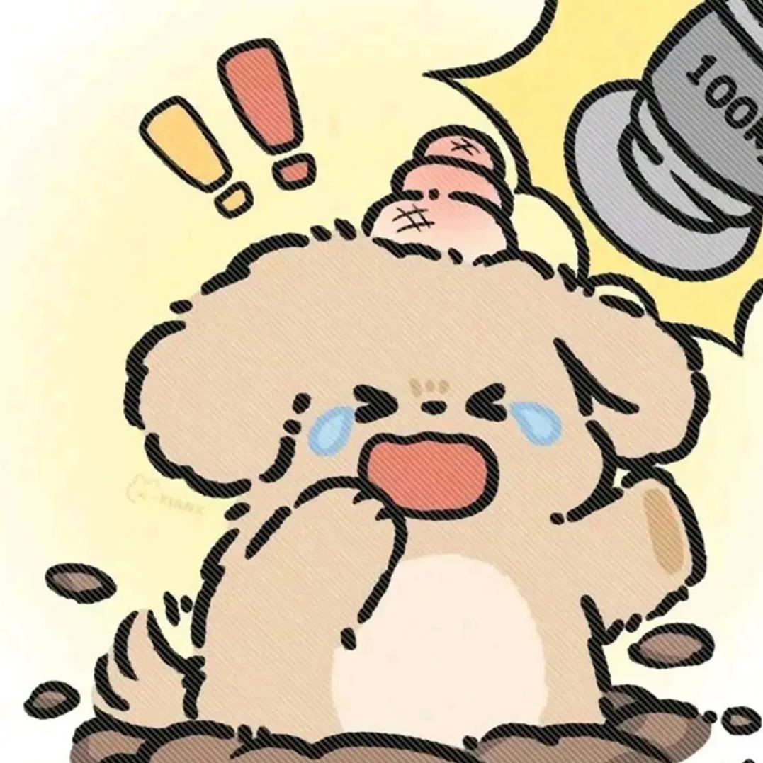 小Y