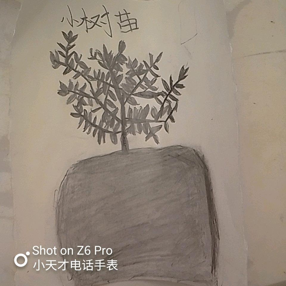 阿罗啊