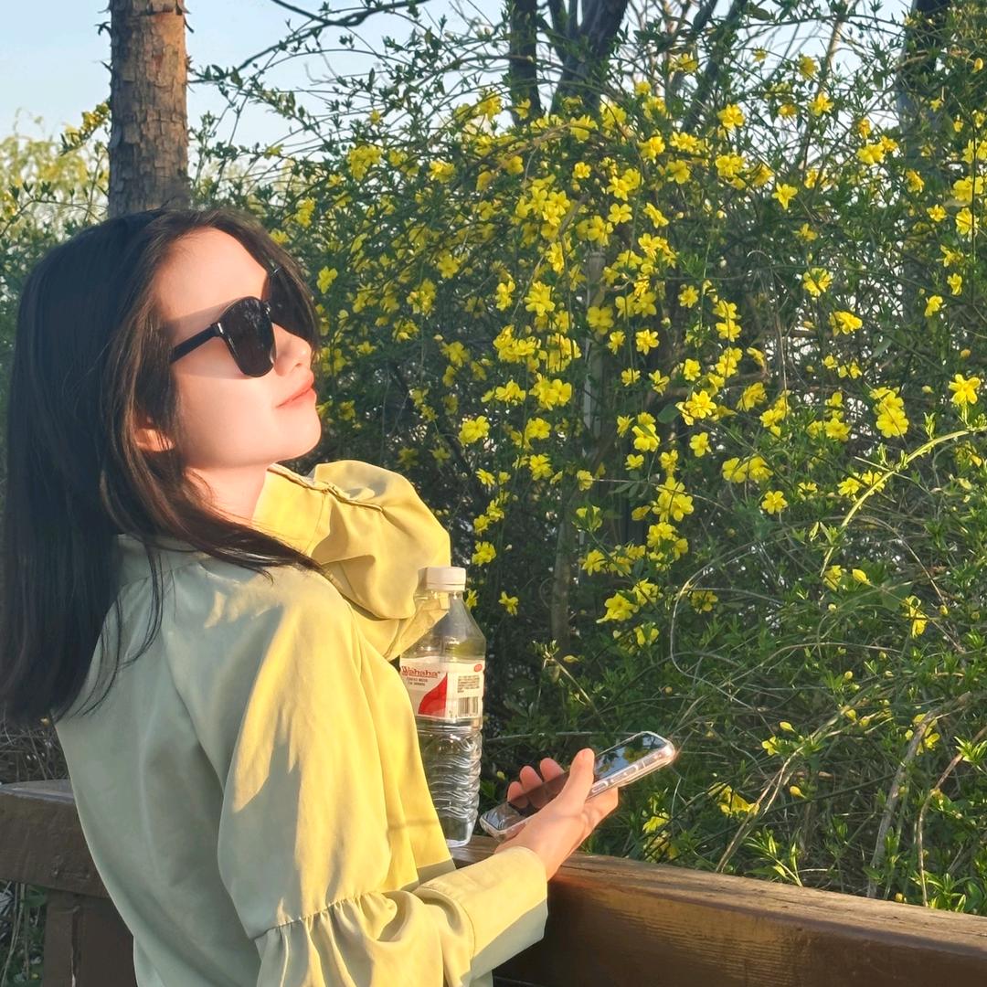 菜菜月