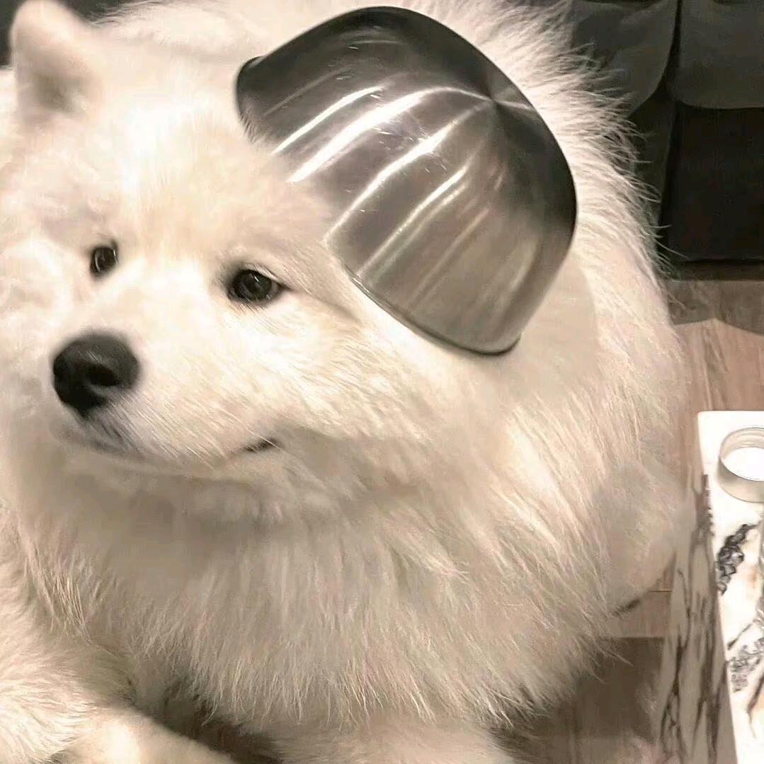 劉·世佳