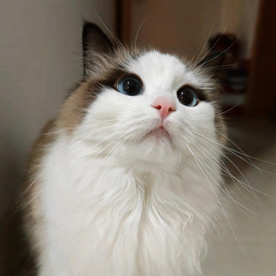 心似烟火✨